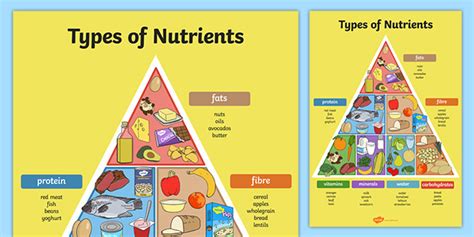 Classification of Nutrients – Nutrition: Science and .